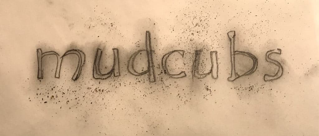 Mudcubs Logo