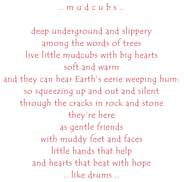 Mudcubs lyrics graphic